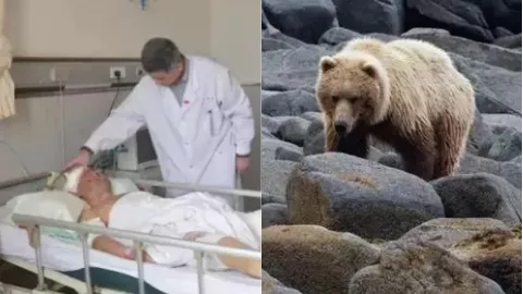 狗熊咬人