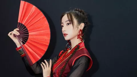 向太陈岚
