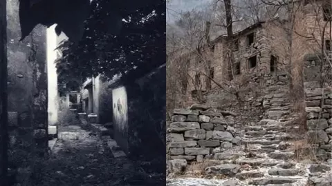 云南龙井村