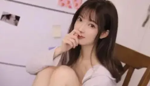 法拍狸花猫