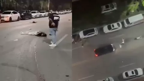 景德镇惨案