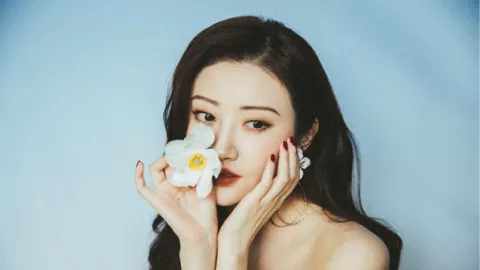 红绿灯