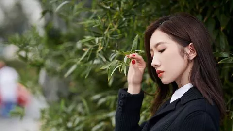 范曾