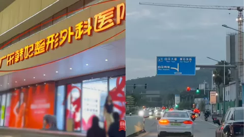广东韩妃