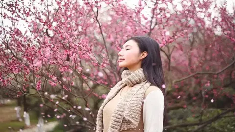 时政