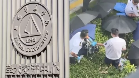 上海杉达学院