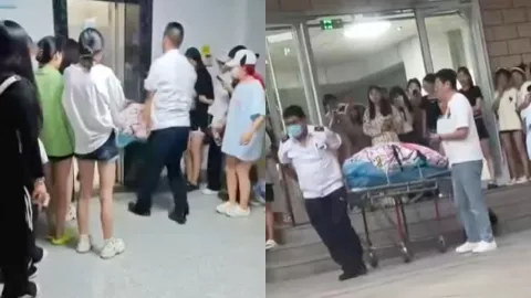 甘肃农大