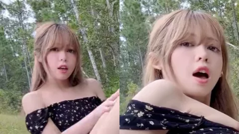 绯红小猫