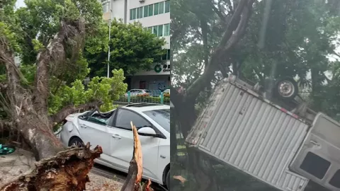 台风桦加沙