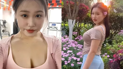 杨静