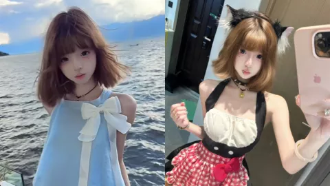 抖音网红困熊