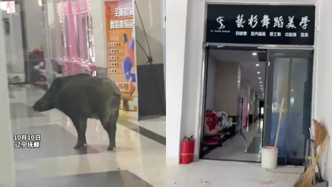 辽宁抚顺
