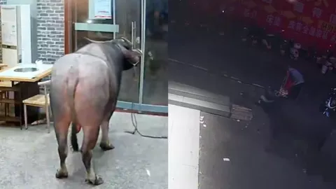 广西梧州藤县