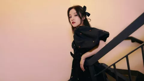 刘德华演唱会中国人