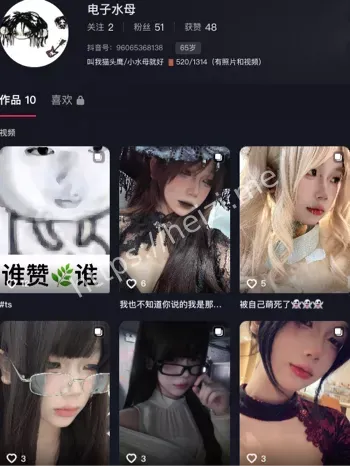 电子水母