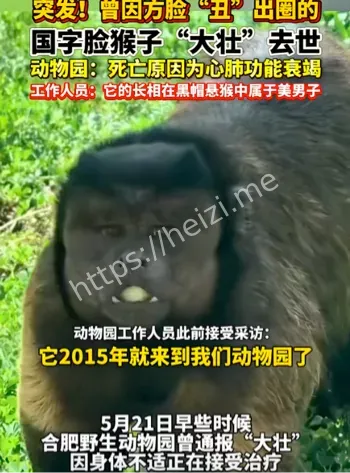 大壮