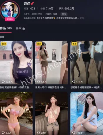 诗佳
