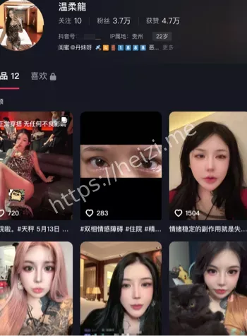 温柔龍