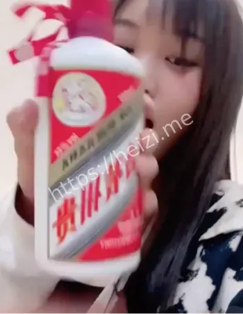 石家庄学院
