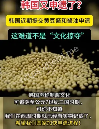 窃取文化