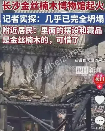 御姐范网红