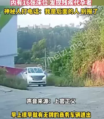 黑子有料