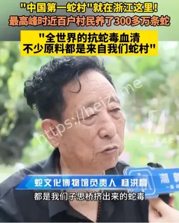 百万毒蛇