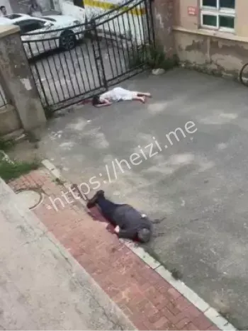 社会悲剧