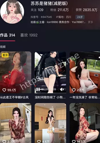 苏苏是猪猪