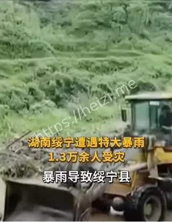 损失严重