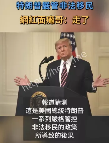 网红顶流