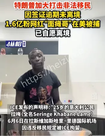违反移民法