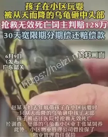 韶关市