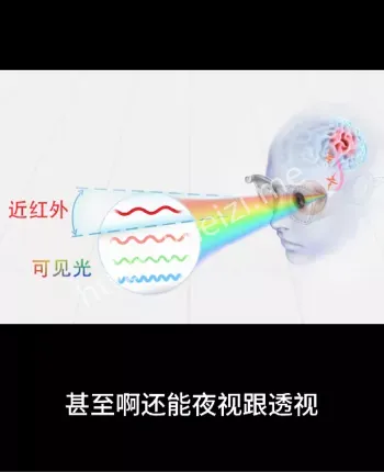 复旦大学