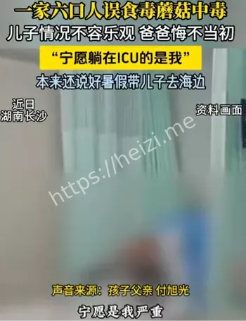 灰花纹鹅膏菌