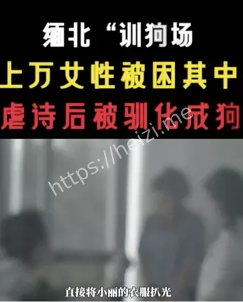诈骗