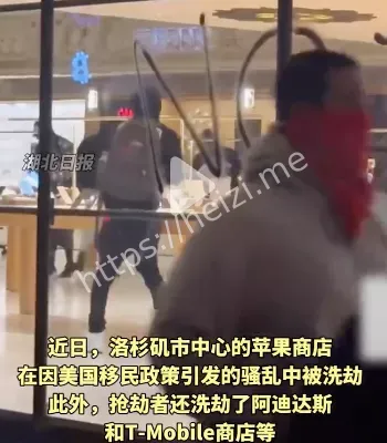 政府责任