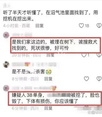 湿地公园