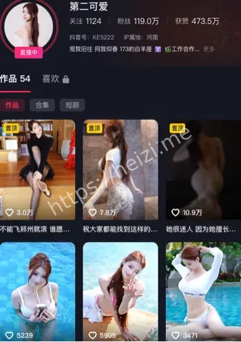 极品少妇