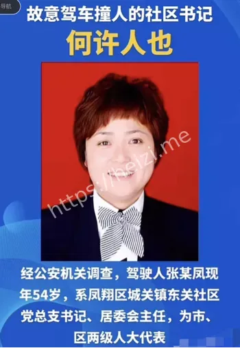 最牛女书记