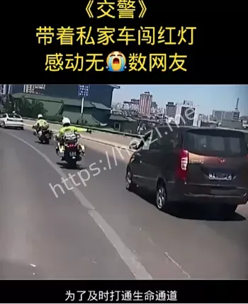 感动网友