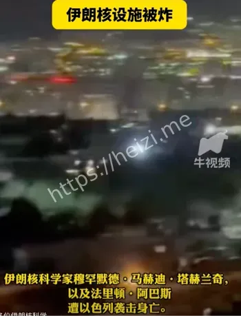 卫队总司令