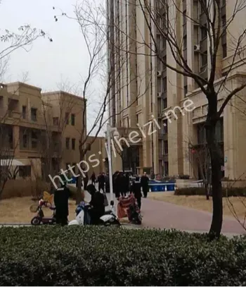 现场惨烈