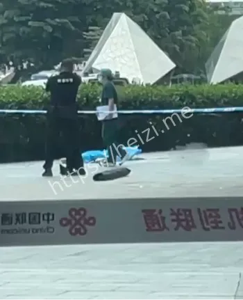 自杀真相