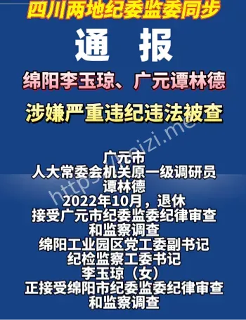 违规违纪