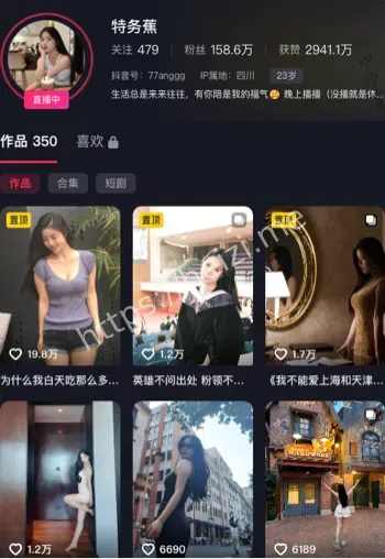 特务蕉