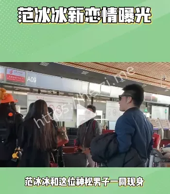 新恋情