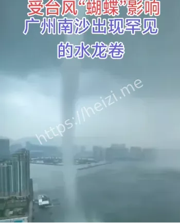 停运停课