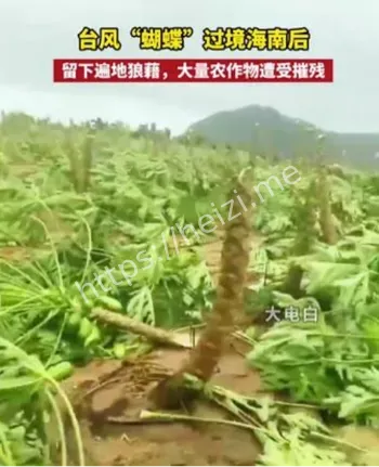 广东二次登陆