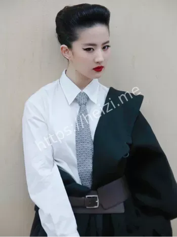 明星转型